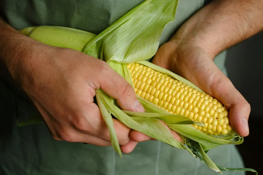 unsplash_TciZkKBPsQM_Feed Corn Non GMO.jpg.webp